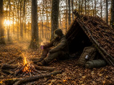 Survie en Forêt : Les Techniques Essentielles à Connaître